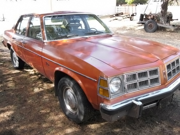 Cheap Venture: 1977 Pontiac Ventura