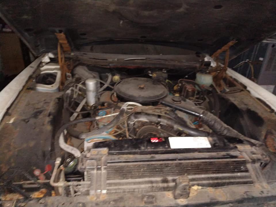 Caddy Engine Barn Finds