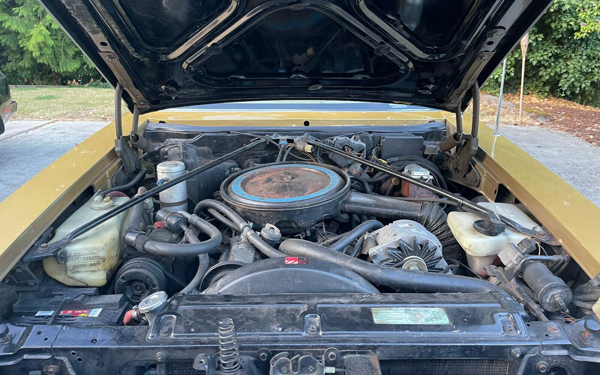 Cadillac Seville Barn Finds