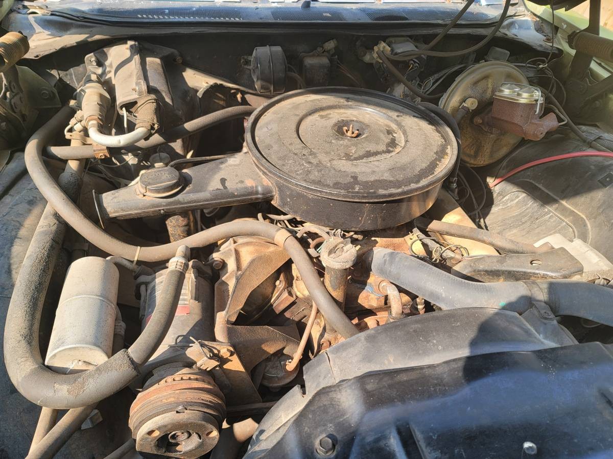 Oldsmobile Cutlass Supreme Barn Finds