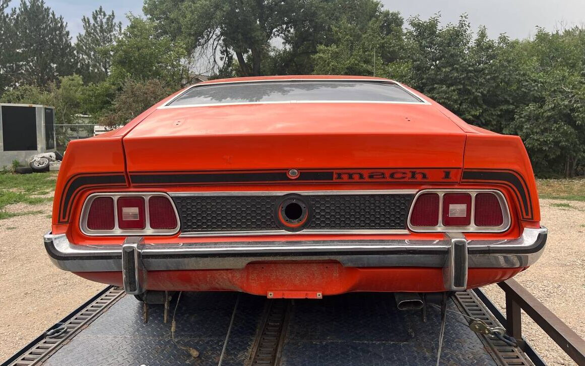 1973 Mustang Rear Barn Finds