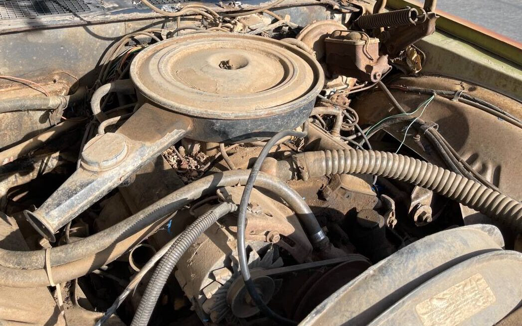 Camaro Engine Barn Finds