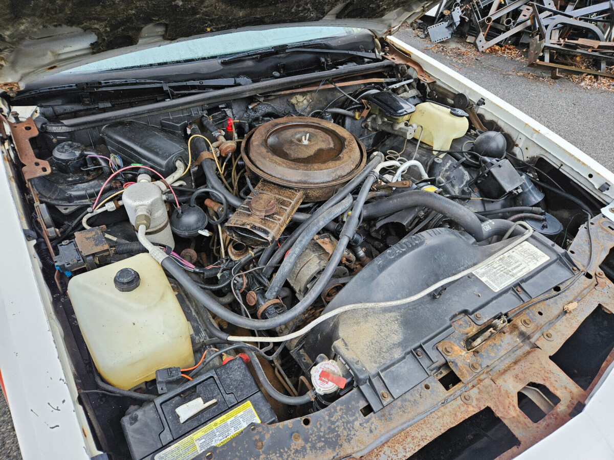 Monte Carlo Engine Barn Finds