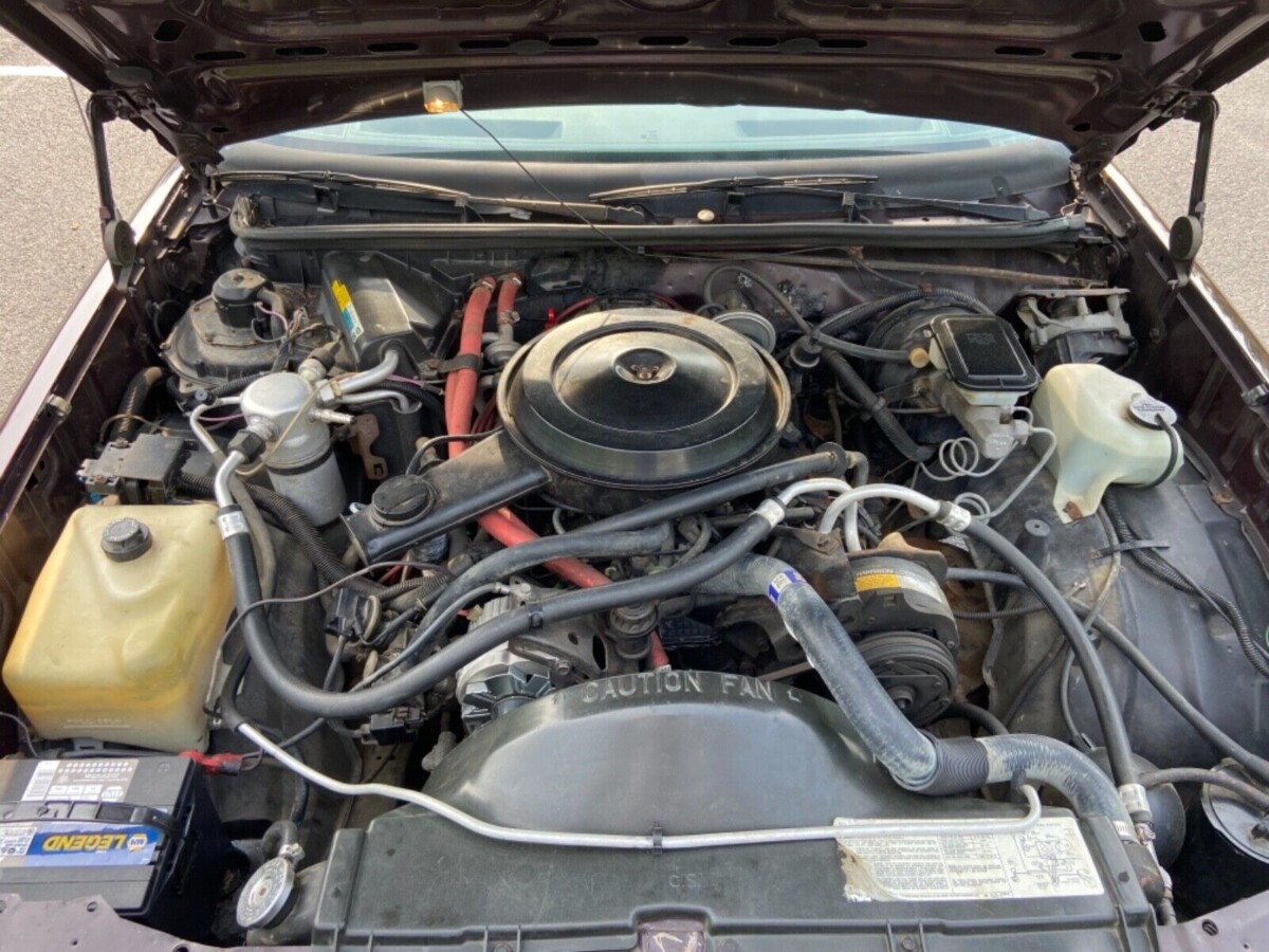 Chevrolet El Camino Ss Barn Finds