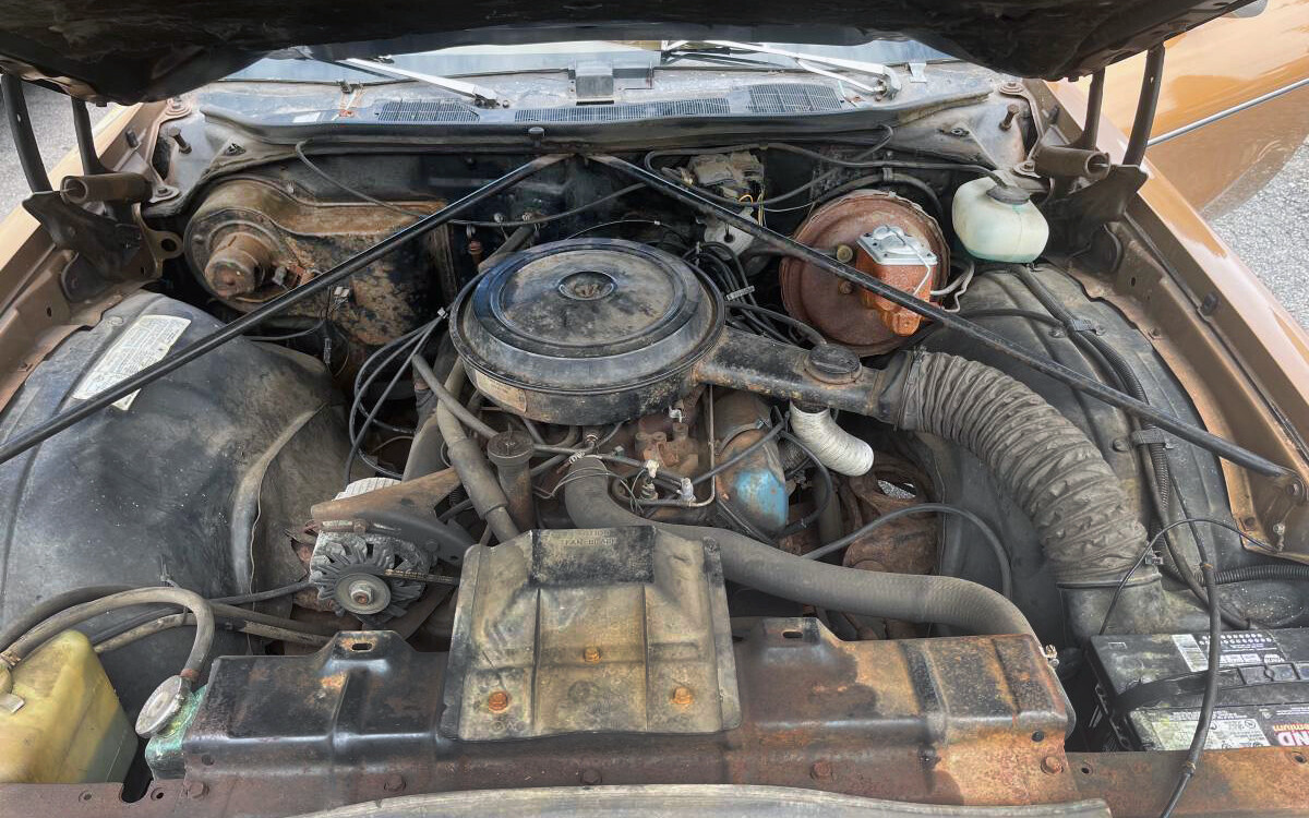 Oldsmobile Cutlass Barn Finds