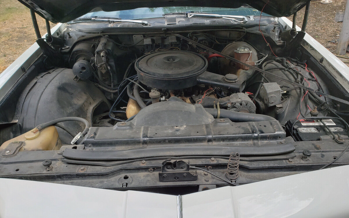 Oldsmobile Cutlass Supreme Barn Finds