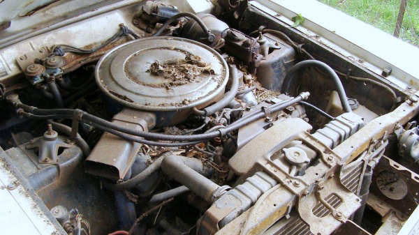 fenced-in-1968-ford-torino-gt-engine