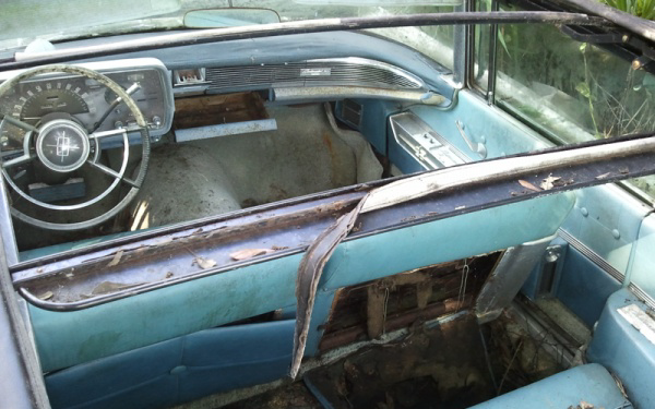 overgrown-1959-lincoln-continental-interior