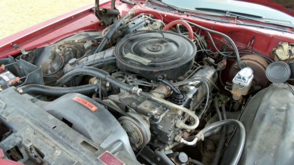 survivor-1974-ford-ltd-country-squire-wagon-engine