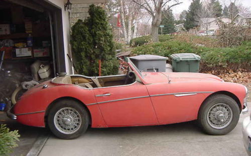 red-healey-side