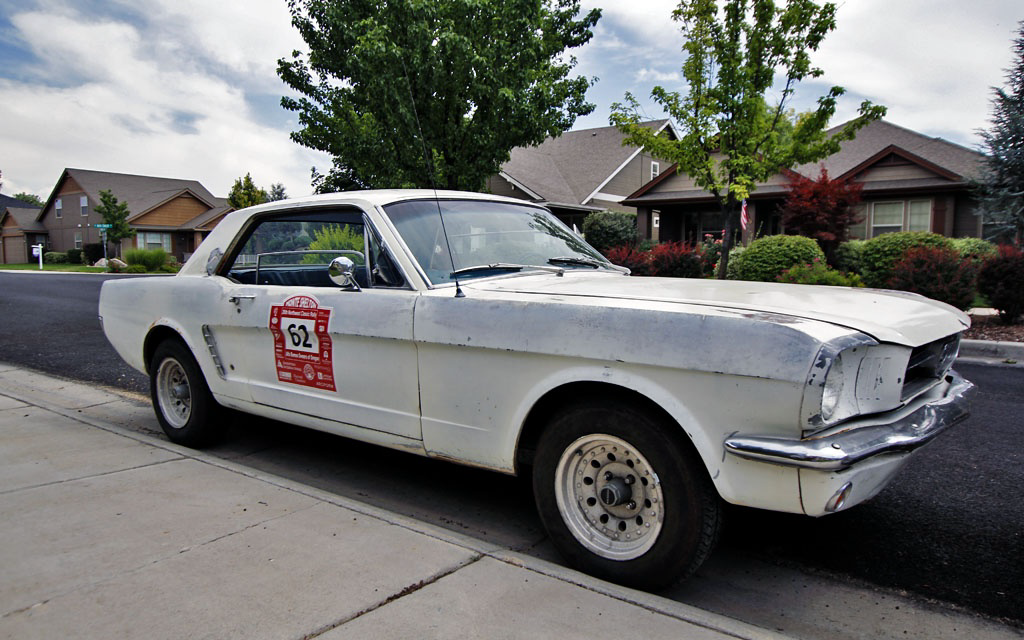 Mustang back in Boise