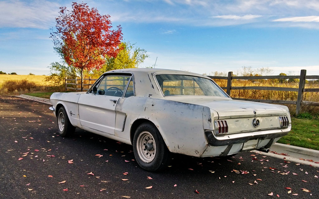 BarnFinds Mustang 4