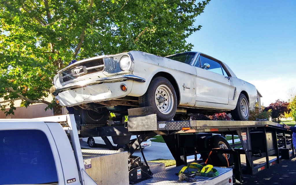 Mustang on the Trailer