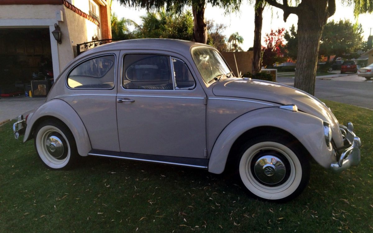 Survivor or Restored: 1967 VW Beetle | Barn Finds