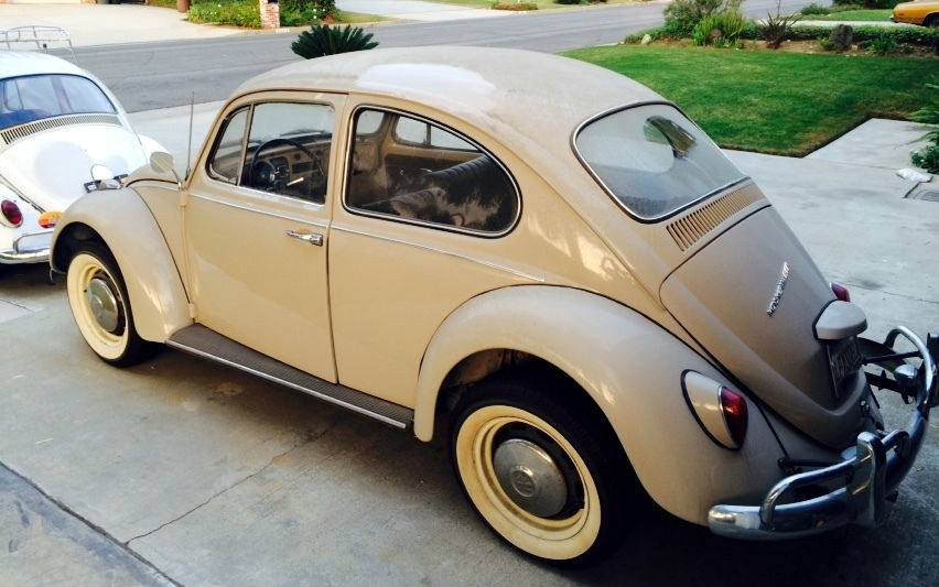 VW Beetle Survivor