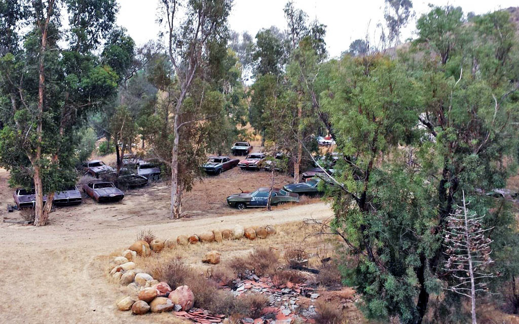 Pontiac GTO Graveyard