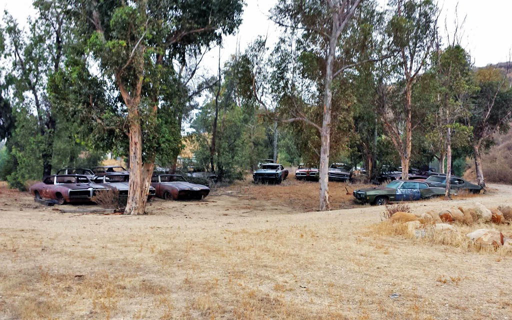 The GTO Graveyard
