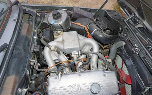 1981 BMW 320i Engine