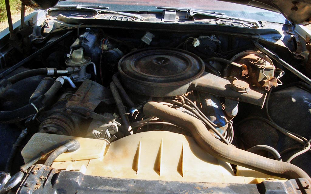 1976 Buick Century Engine