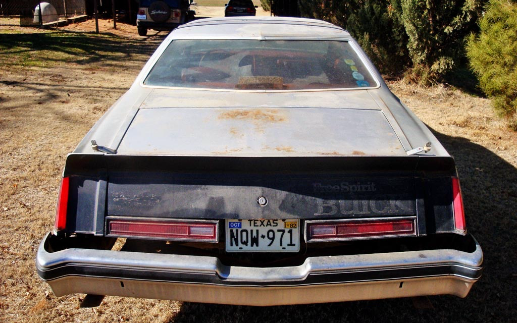 1976 Buick Century FreeSpirit