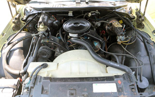 1976 Buick Regal Engine