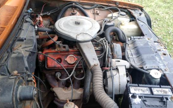 1976 Chevrolet Chevette Engine
