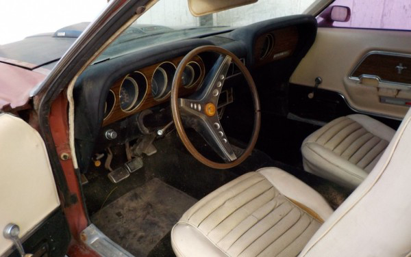 White buckets and sport steering wheel