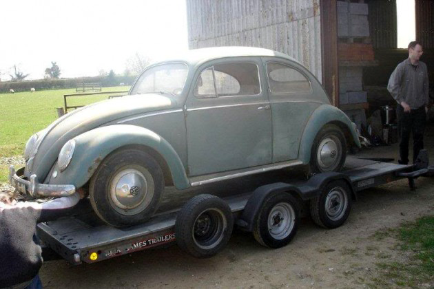 Beetle ready to go home