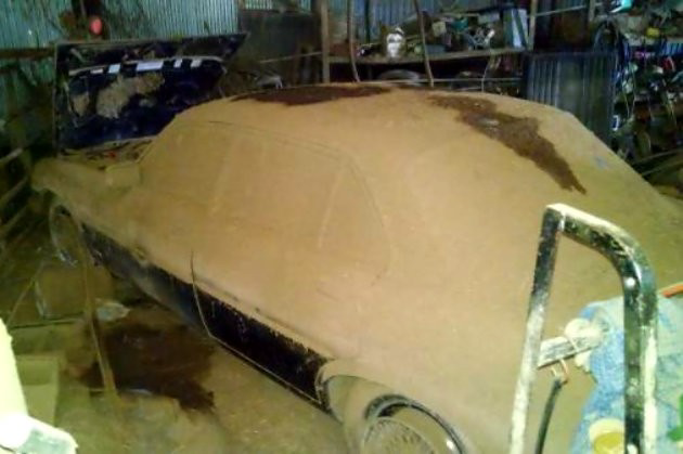 Dusty Jaguar XJ6