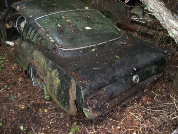 '65 Mustang forest find fastback baby