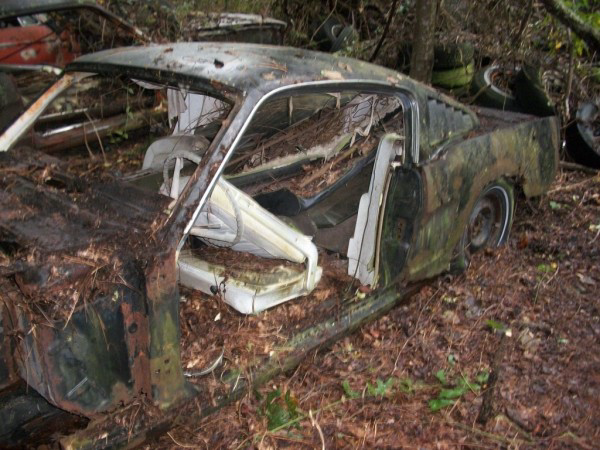 '65 Mustang forest find white intr.