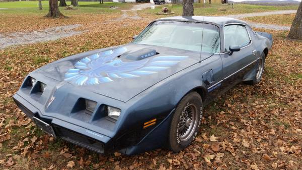 6.6 Liters Of Fun: 1979 Trans AM - Barn Finds