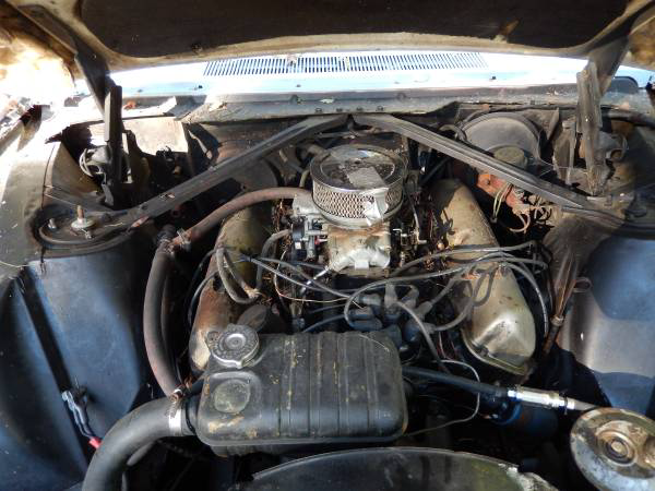 '63 Thunderbird engine