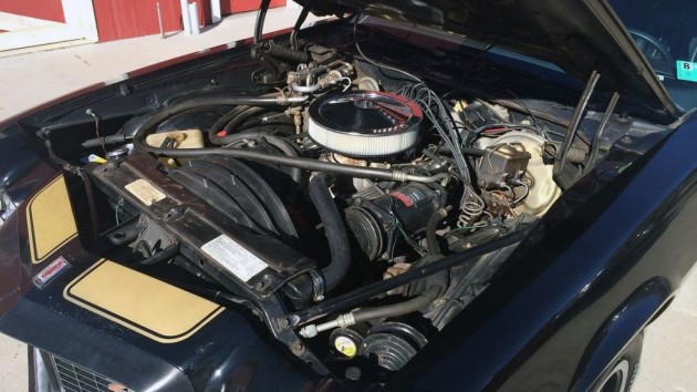 1973 Camaro Z28 Engine