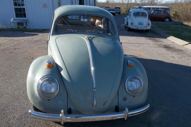 VW Split Window Beetle