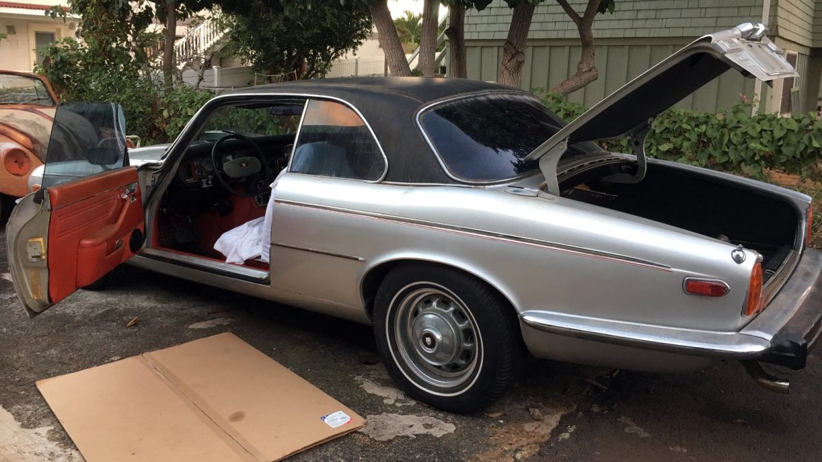 Tropical Cat: 1976 Jaguar XJ12C | Barn Finds