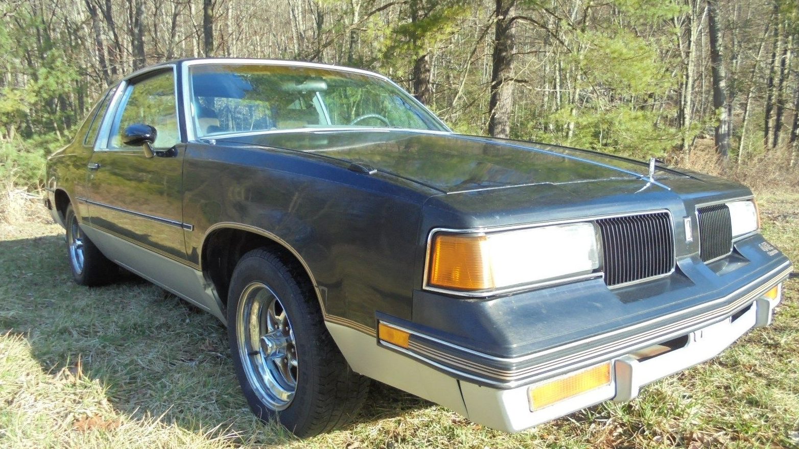 Interesting Options 1987 Olds 442