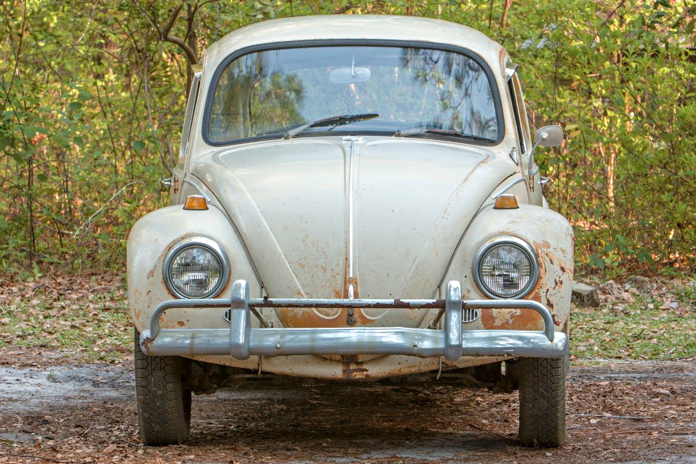 Forgotten Type 1: 1967 Volkswagen Beetle