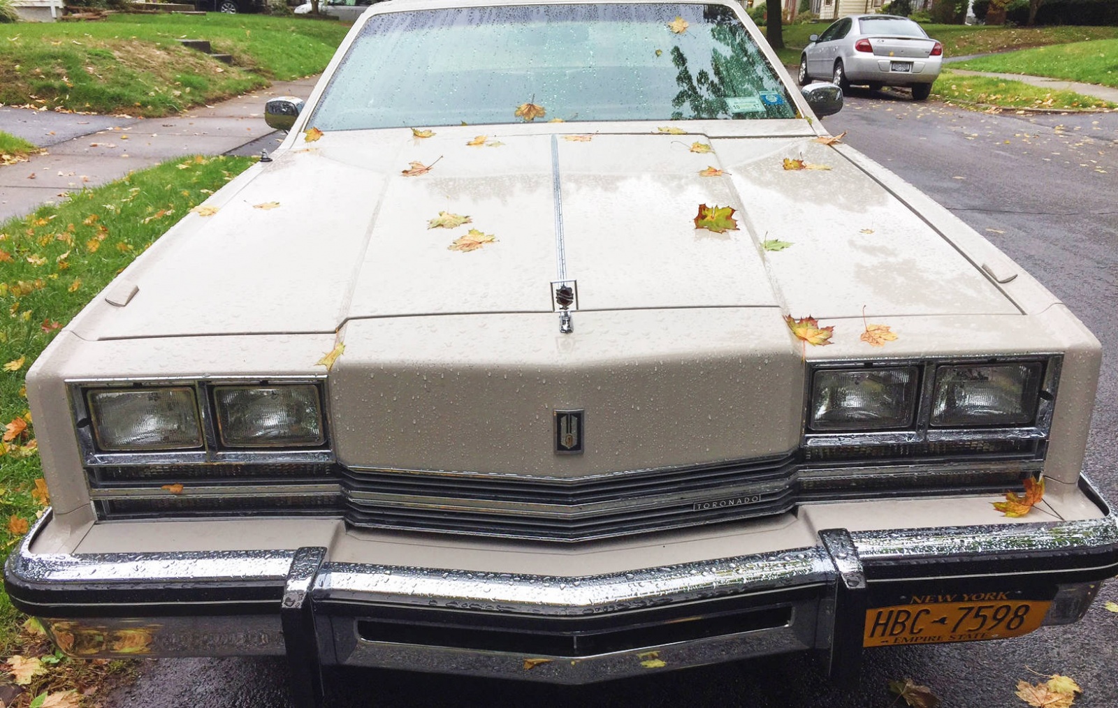 1984 Oldsmobile Toronado Grille Barn Finds