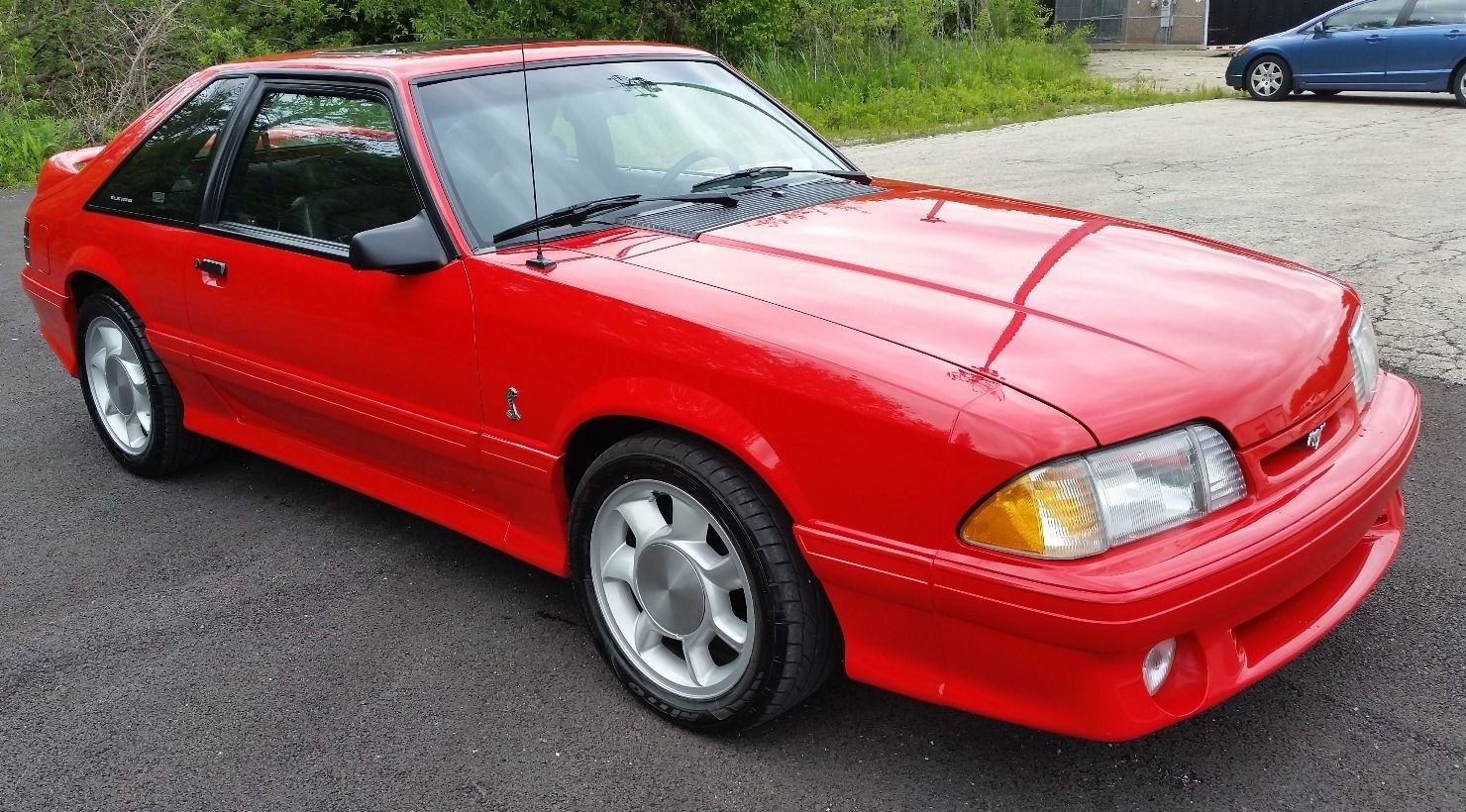 1993 Ford Mustang Cobra | Barn Finds