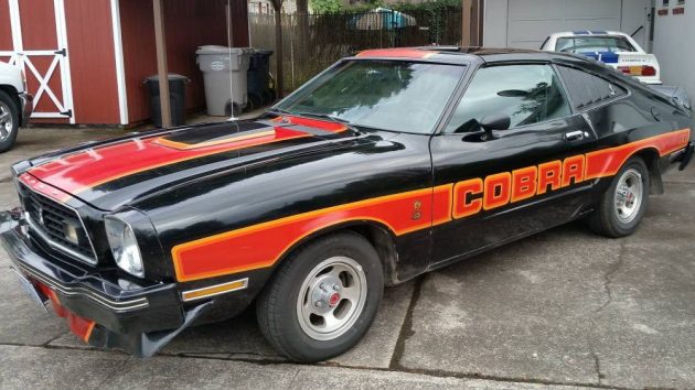1978 Mustang Cobra For Sale Craigslist
