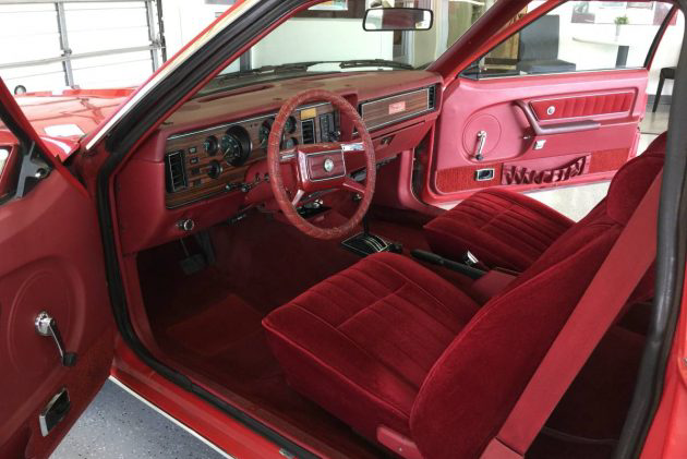 Like New 1979 Ford Mustang 5 0