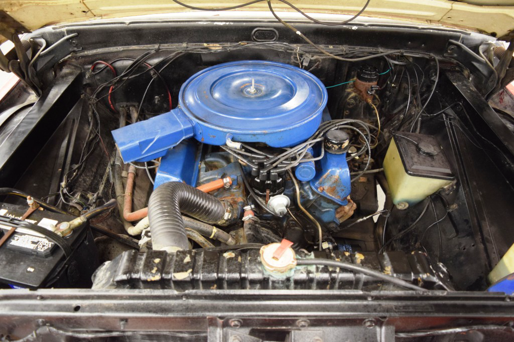 1965 Ford F100 Engine