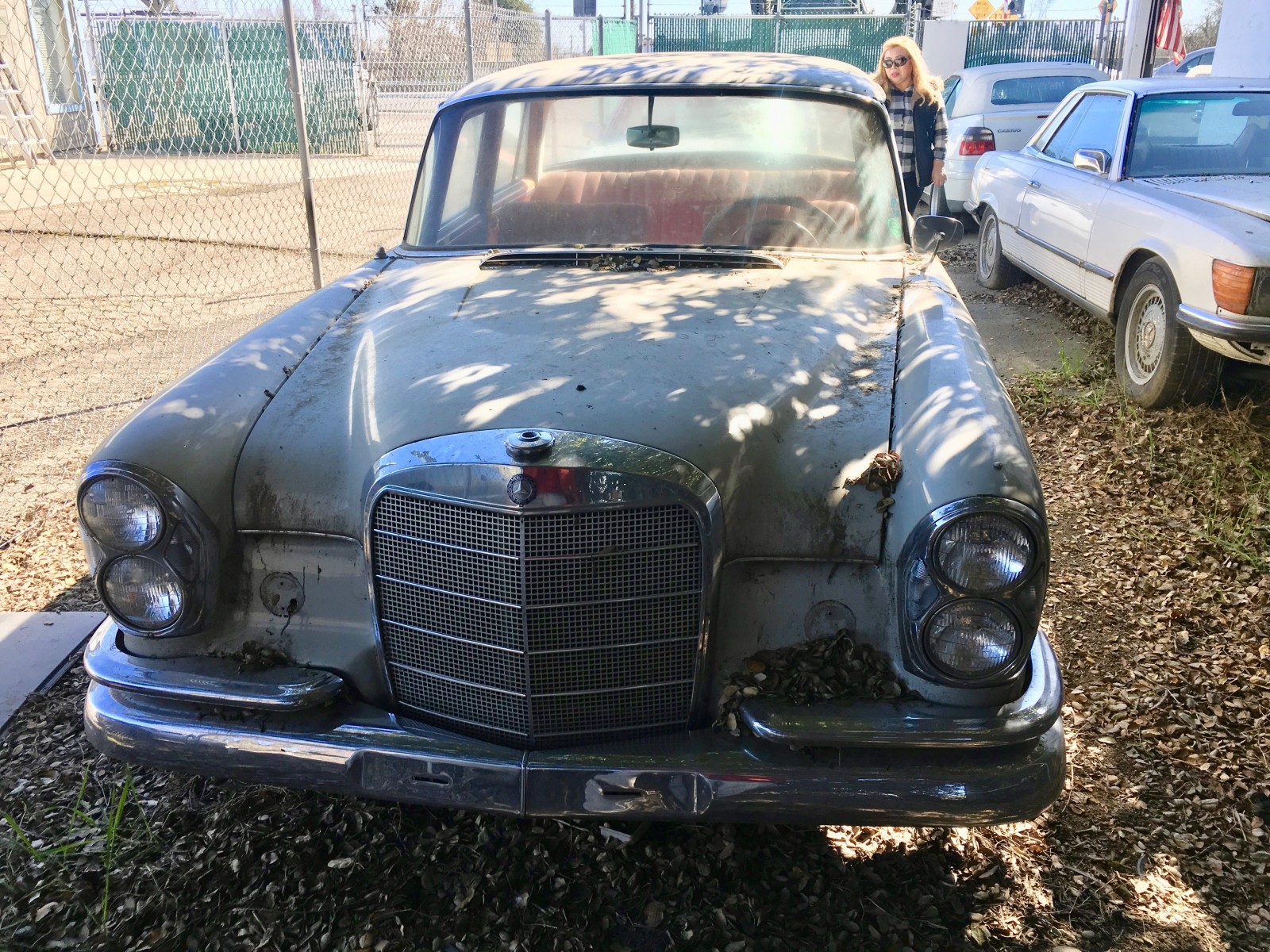 Front Barn Finds