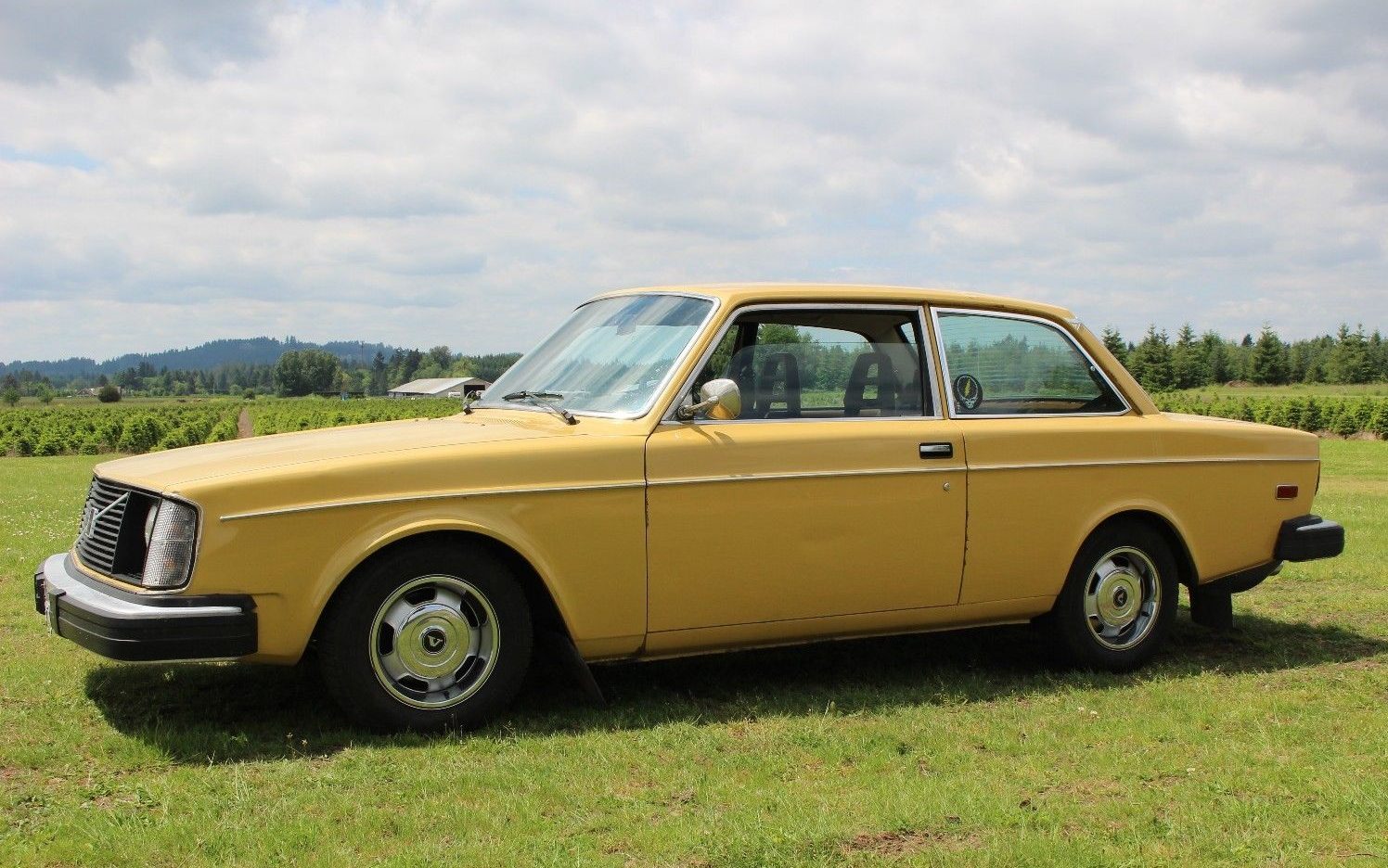 1977-Volvo-242-V8-1 | Barn Finds