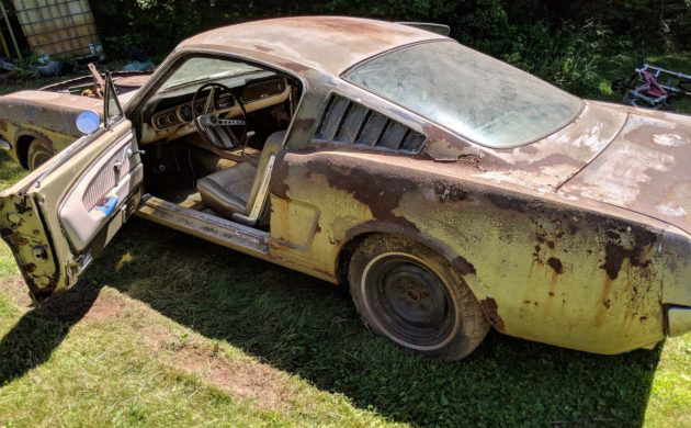 Roof Is Good Barn Fresh 1966 Ford Mustang Gt Barn Finds