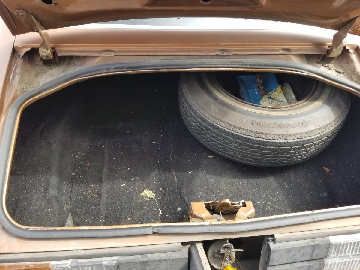 1979 Camaro Trunk Barn Finds