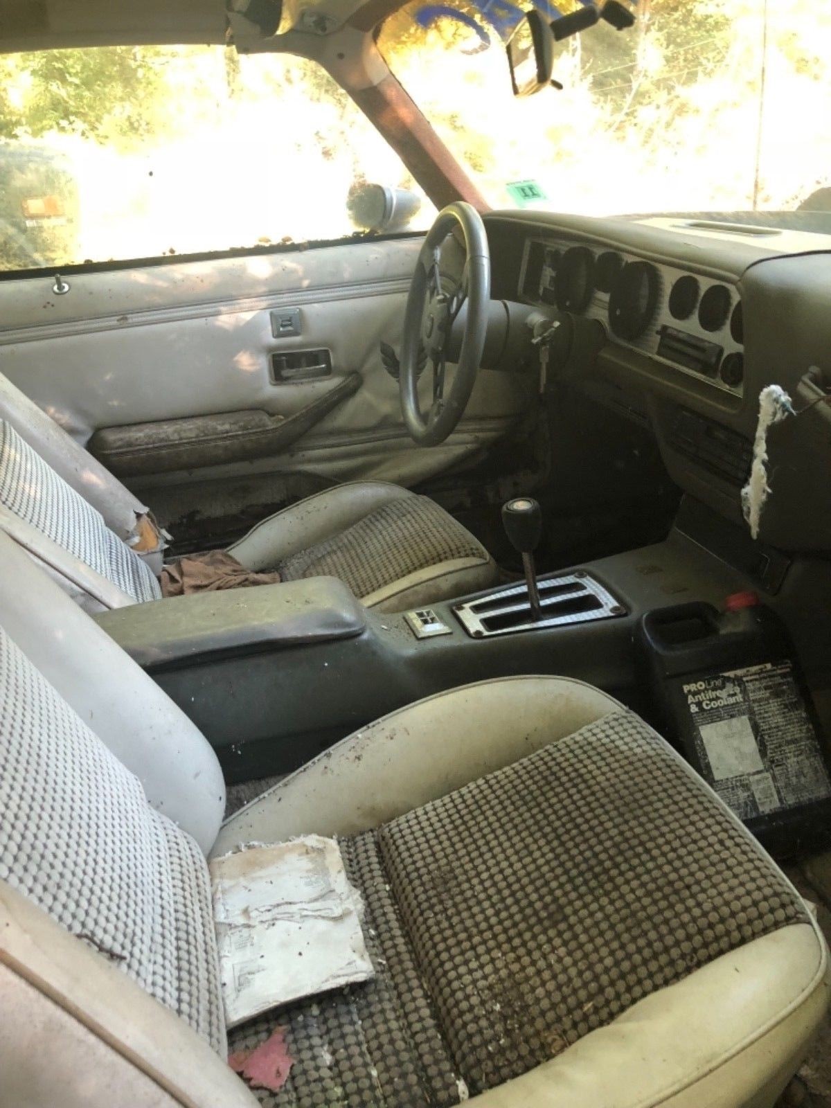 Trans Am Interior Barn Finds