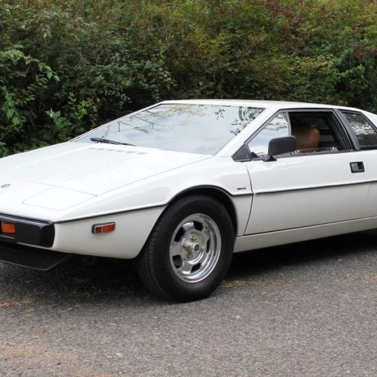 lotus-1-1-e1536243837801-