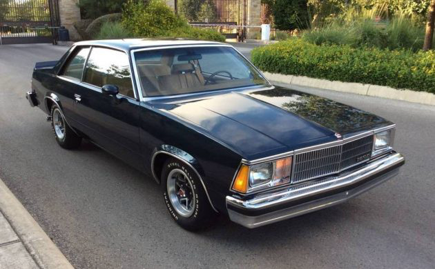 F41 Performance Package 1980 Chevrolet Malibu